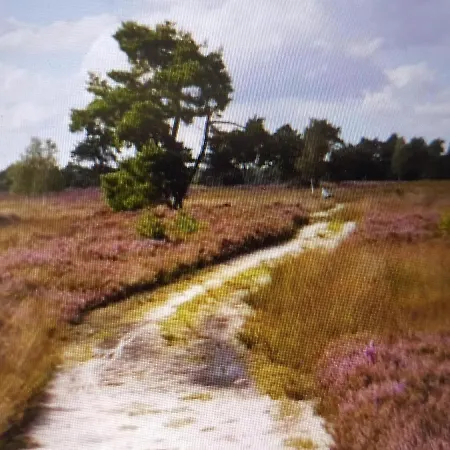 Chalé Tiny House With Private Garden In Epe Veluwe Epe